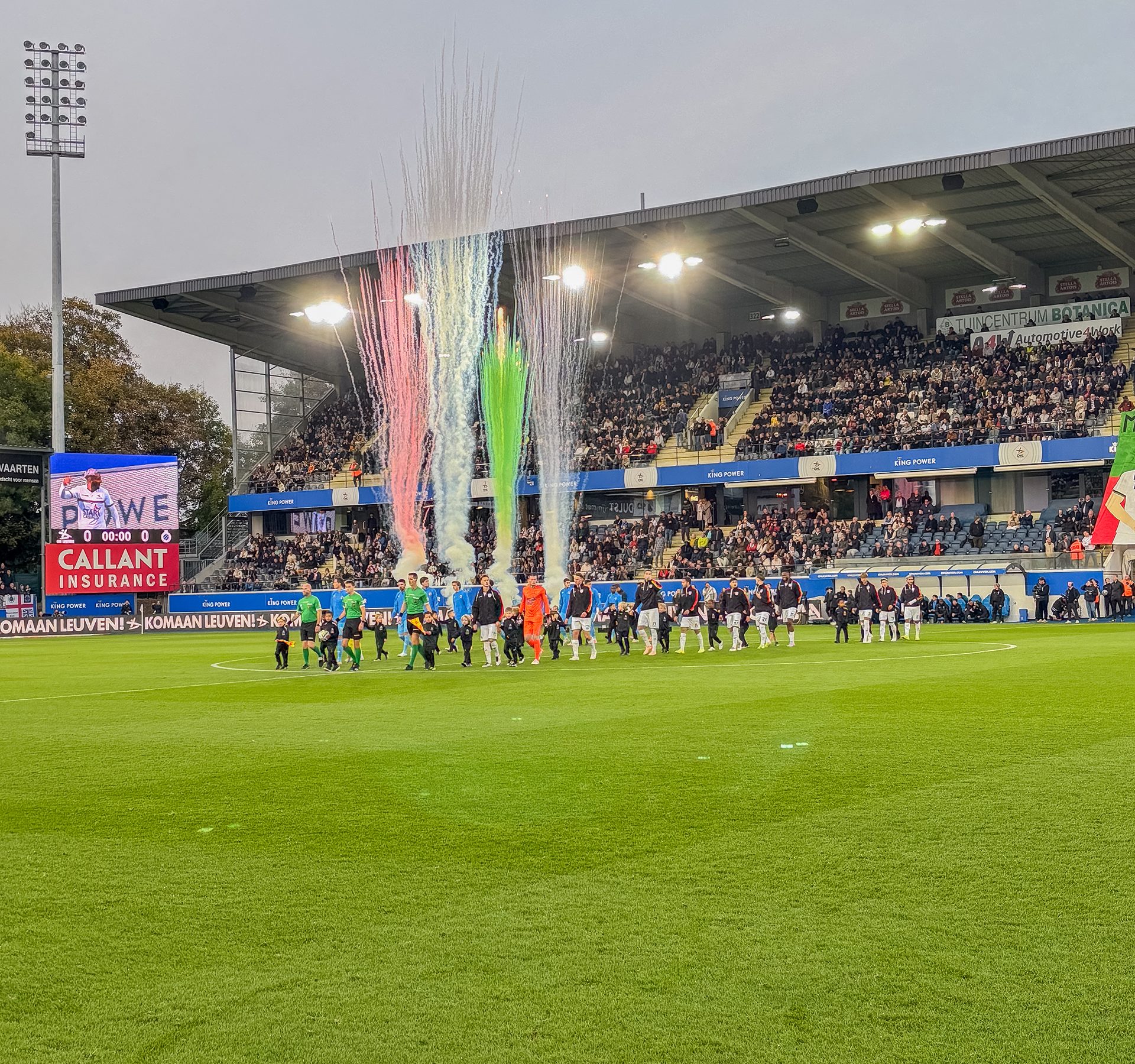 Aftrap Oud-Heverlee Leuven
